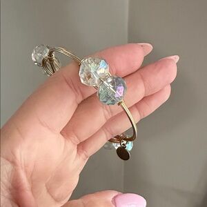 Bourbon and Boweties Double Crystal Medium Sized Bead